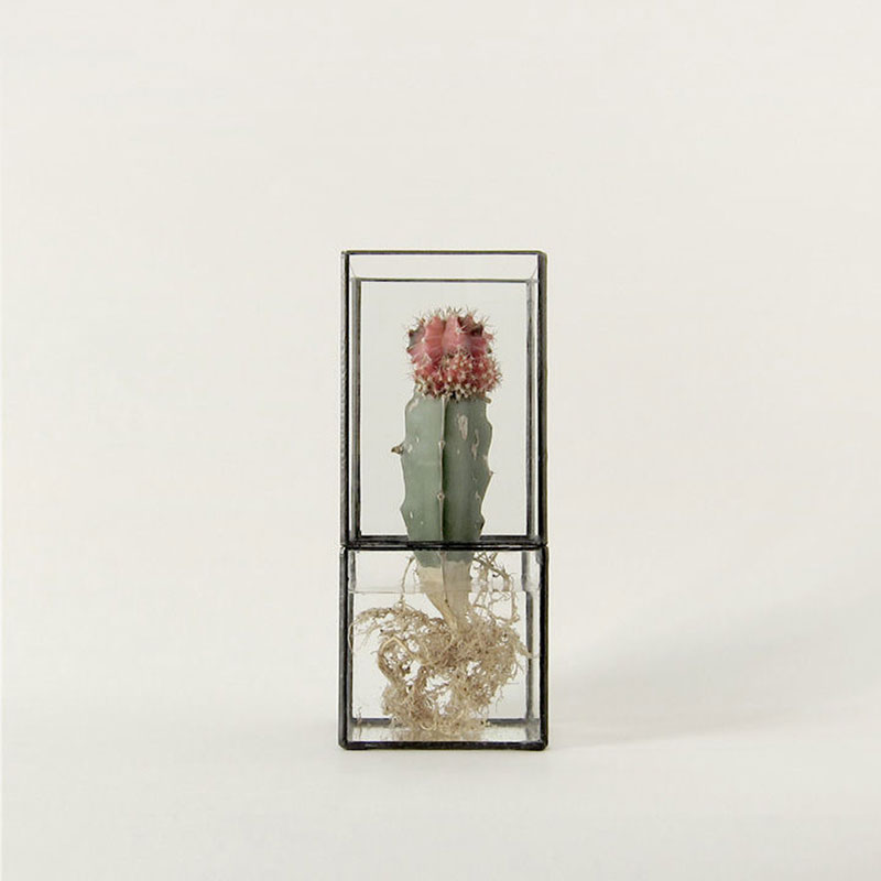 1012-terra-glass-terrarium-cactus-flower