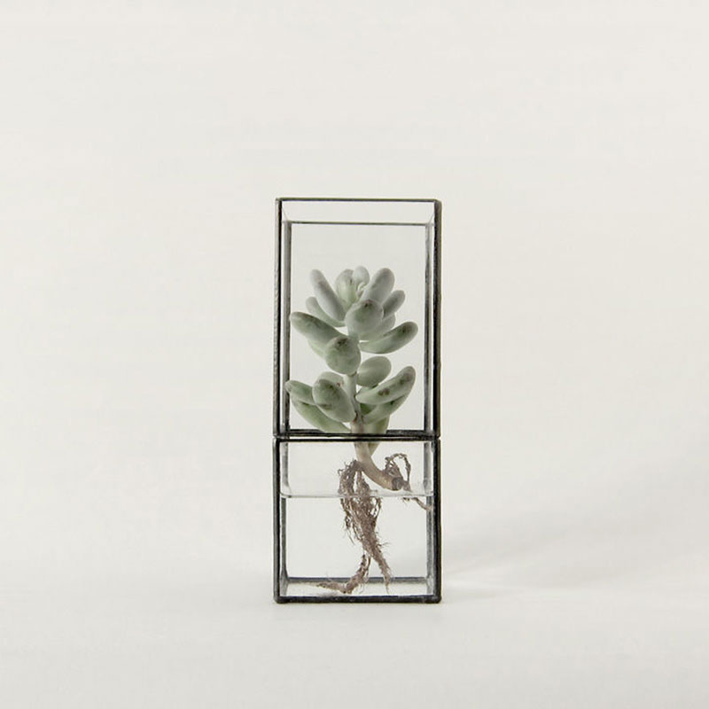 1012-terra-glass-terrarium-succulent