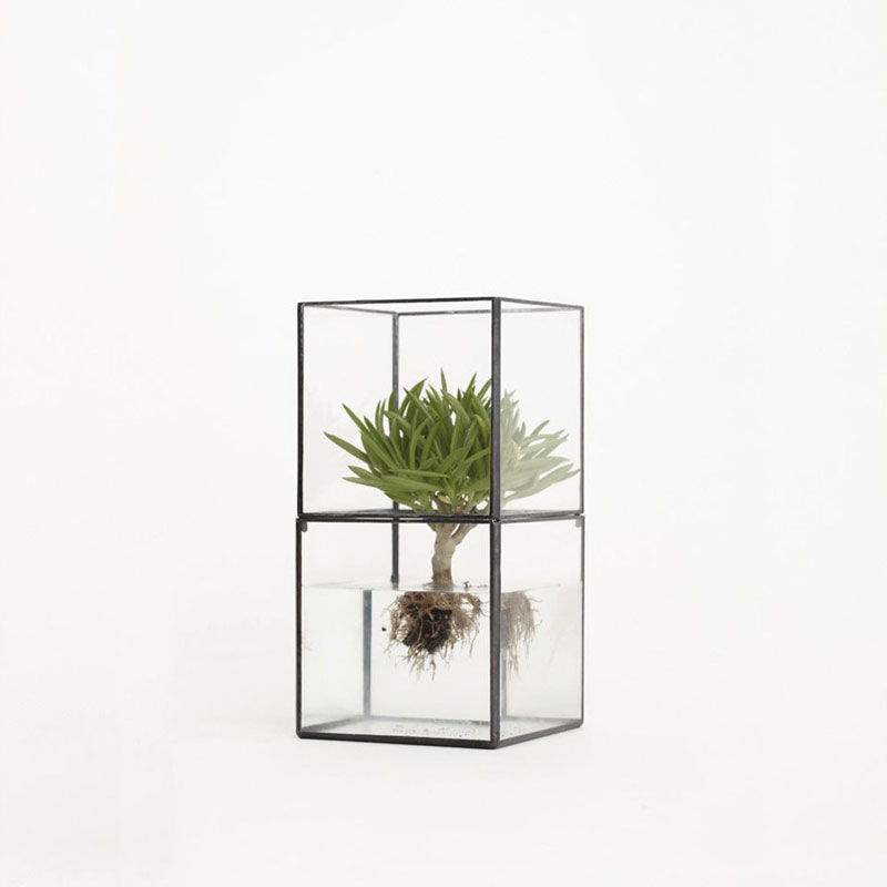 1012-terra-glass-terrarium-tree