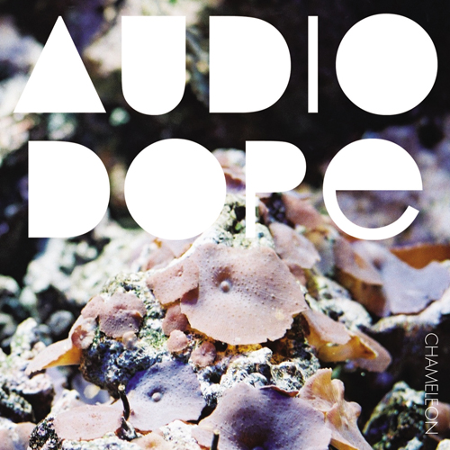 Audio+Dope+++chameleon