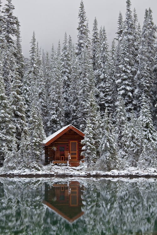 Rustic_Cabin_of_Lake_O’Hara_Lodge_in_Snow